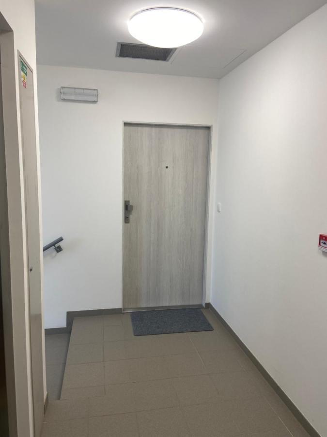 Ferienwohnung Horsky Apartman Pod Jestedem Reichenberg Exterior foto