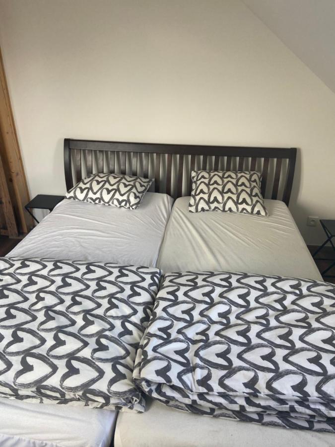 Ferienwohnung Horsky Apartman Pod Jestedem Reichenberg Exterior foto